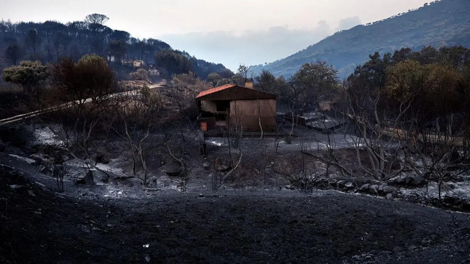 European Wildfires